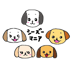 Shih Tzu enthusiasts