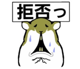 Golden hamster sticker #3220700
