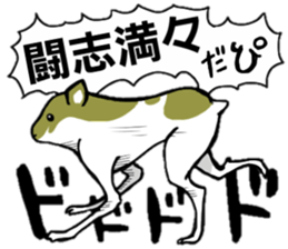 Golden hamster sticker #3220713