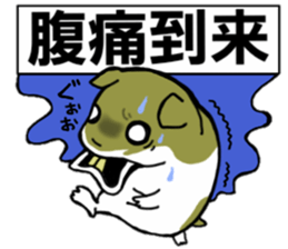 Golden hamster sticker #3220716