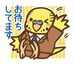 Chief Budgerigar sticker #3221186