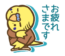 Chief Budgerigar sticker #3221188