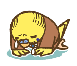 Chief Budgerigar sticker #3221213