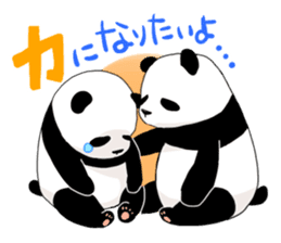 Feelings of the patient 2 Wakayama Panda sticker #3221370