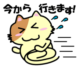 Daily life's chaco sticker #3222705