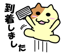 Daily life's chaco sticker #3222706