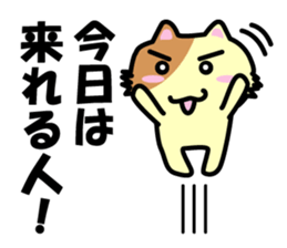 Daily life's chaco sticker #3222715