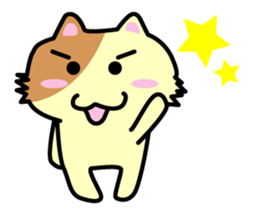 Daily life's chaco sticker #3222719