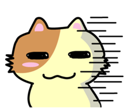 Daily life's chaco sticker #3222724