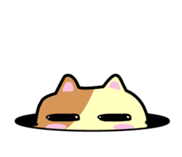 Daily life's chaco sticker #3222727