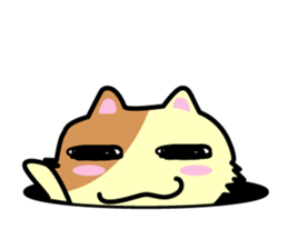 Daily life's chaco sticker #3222728