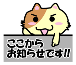 Daily life's chaco sticker #3222733