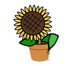 Feeling of a sunflower (English) sticker #3224712