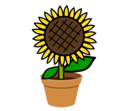 Feeling of a sunflower (English) sticker #3224724