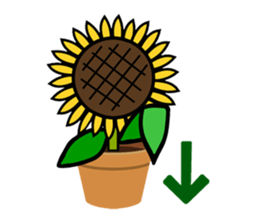 Feeling of a sunflower (English) sticker #3224729