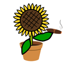 Feeling of a sunflower (English) sticker #3224735