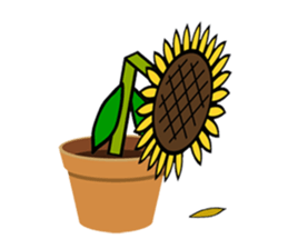 Feeling of a sunflower (English) sticker #3224738