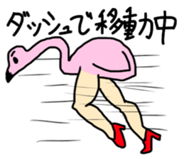 beautiful leg flamingo sticker #3225142