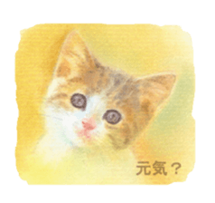 A lot of cute cats sticker #3230740