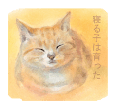 A lot of cute cats sticker #3230741