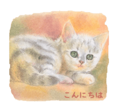 A lot of cute cats sticker #3230742