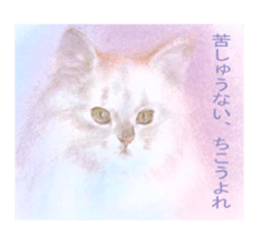 A lot of cute cats sticker #3230743