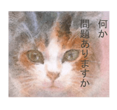 A lot of cute cats sticker #3230744