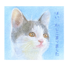 A lot of cute cats sticker #3230747