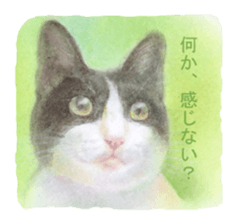 A lot of cute cats sticker #3230748