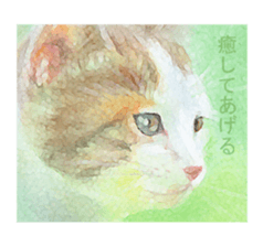 A lot of cute cats sticker #3230749