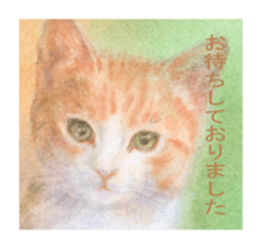 A lot of cute cats sticker #3230751