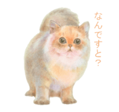 A lot of cute cats sticker #3230755