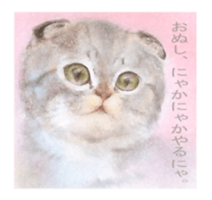 A lot of cute cats sticker #3230759