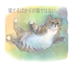 A lot of cute cats sticker #3230760