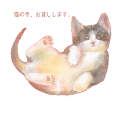 A lot of cute cats sticker #3230761