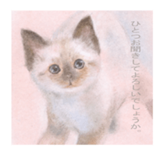 A lot of cute cats sticker #3230762