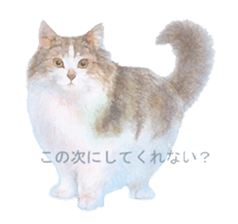 A lot of cute cats sticker #3230763