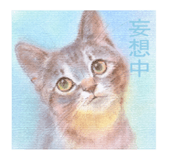 A lot of cute cats sticker #3230765