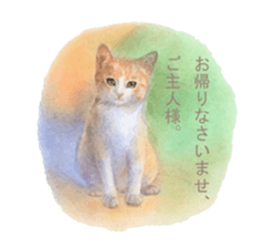 A lot of cute cats sticker #3230767