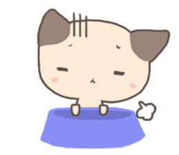 Zoe the Siamese Kitten sticker #3234435