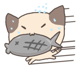 Zoe the Siamese Kitten sticker #3234440