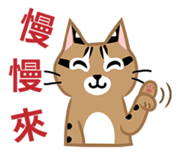 Taiwan Leopard Cat (considerate) sticker #3234619