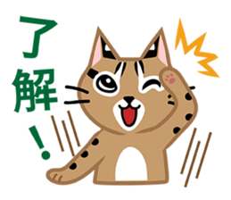 Taiwan Leopard Cat (considerate) sticker #3234624