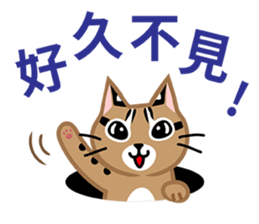 Taiwan Leopard Cat (considerate) sticker #3234637