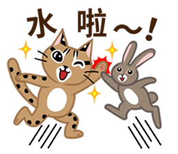 Taiwan Leopard Cat (considerate) sticker #3234638