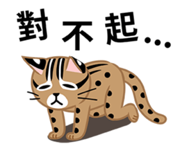 Taiwan Leopard Cat (considerate) sticker #3234640