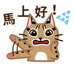 Taiwan Leopard Cat (considerate) sticker #3234642