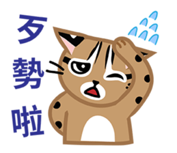 Taiwan Leopard Cat (considerate) sticker #3234645