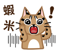 Taiwan Leopard Cat (considerate) sticker #3234646
