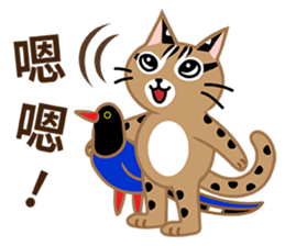 Taiwan Leopard Cat (considerate) sticker #3234650